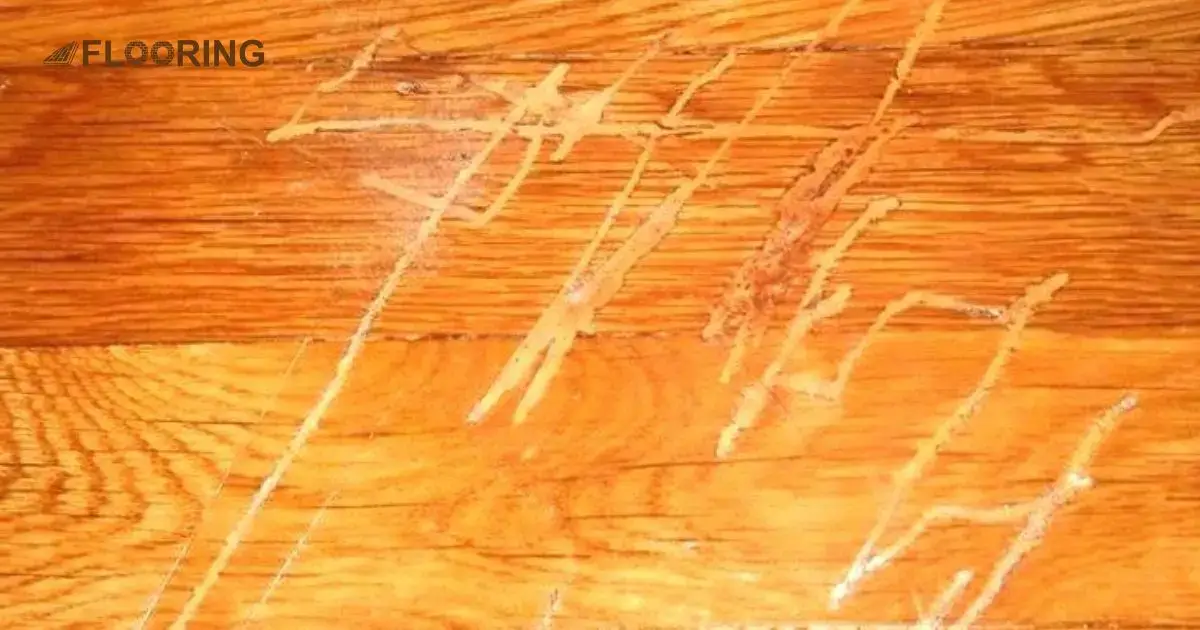 How to Repair Chipped Laminate Flooring