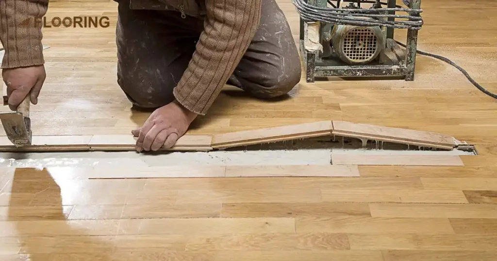 Five Steps to Fix Hardwood Floor Cupping