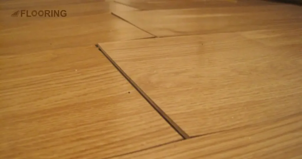 Identifying Cupped Hardwood Floors