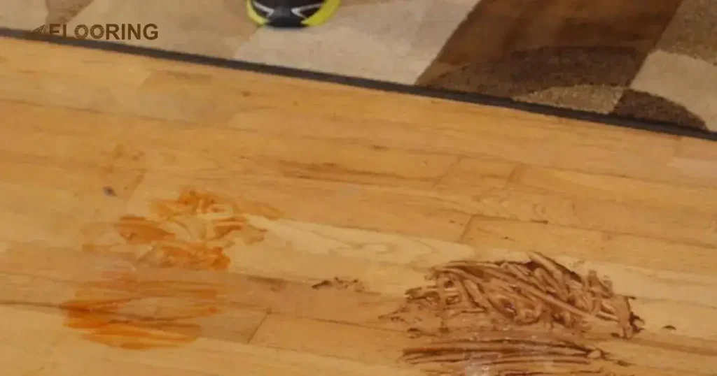 Identify the Type of Stain to Get them Out of Hardwood Floors