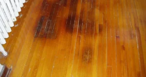 4 ARTICAL 1 IMAGE - How To Get Urine Stains Out Of Hardwood Floors